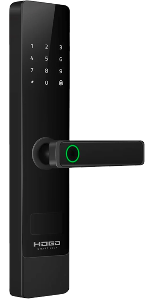 HOGO P 02