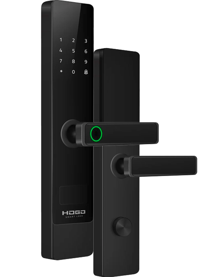 HOGO P 02